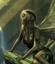 homeward_detail