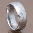 silver_one_ring_goldas